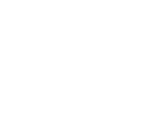 E1O coding-session firmware layout with example status content